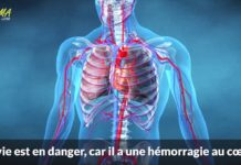 Miracle à Jérusalem