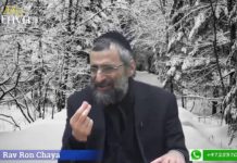 Nuit de cristal 1938 : sauvé par l’honnêteté