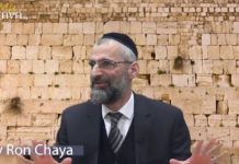 Un serpent au Kotel, et alors ?