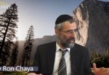 L’être juif : La pratique des Mitsvot !