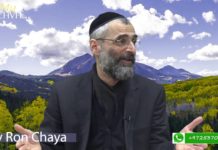 Halakha : La profanation du nom de D.ieu