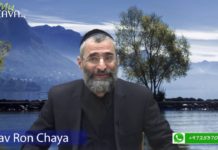 Rendre la matérialité vivante