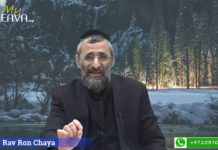 Travail : Le chef des voleurs ne mange pas de porc