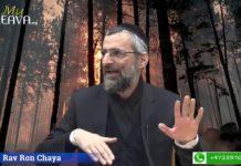 Le respect de l’autre