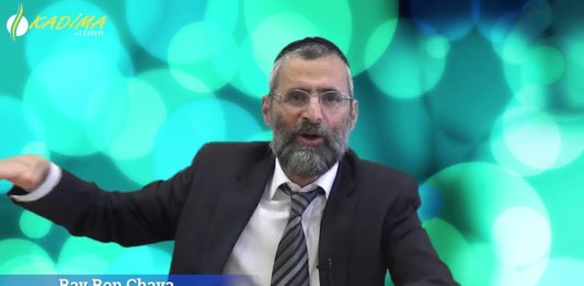 KADIMA : La terre de tes ancêtres