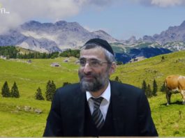 Halav Israël – lait chamour : Qu’est-ce que c’est ?