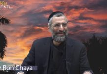 Quand la vie nous sourit