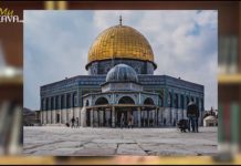 Les choses avancent…Focus sur les détails