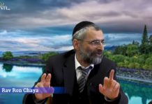 Téchouva vers D.ieu, une leçon de vie