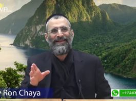 Faut-il transgresser la Torah ?