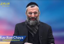 Un sanglier par jour !