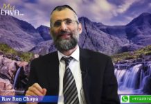 17 pages pour 17 ans de vie !