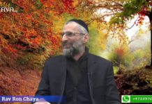 Afin que tes jours se rallongent !