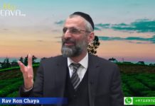 La vérité ça gagne toujours!