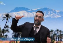 Papa m’est apparu en rêve !