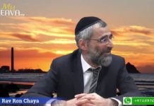 L’ASSASSIN DE VOLOZHINE