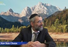 Tu ne te vengeras point