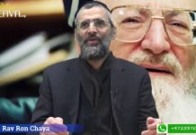 Des chaussures un peu grandes