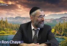 Des hommes ou … des ânes