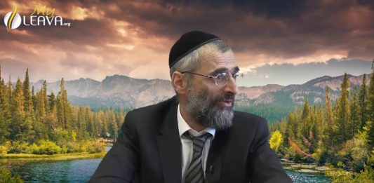 Des hommes ou … des ânes