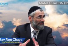 Manifestation divine dans les secrets de la Torah