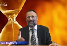 La vie est trop courte pour se battre