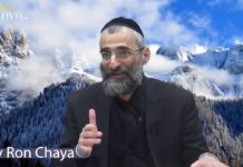 La volonté divine et la volonté humaine : Complémentaires ou antagonistes ?