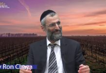 Le Tsaddik tranche et D.ieu exécute