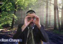 Nos actes ont un impact que nous ne connaissons pas !