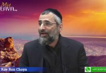 La confiance qui sauve !