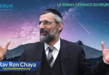 La Torah c’est l’essence du peuple Juif
