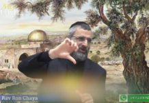 La bouilloire fantastique !