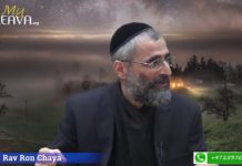 Le temps…une perte irrécupérable