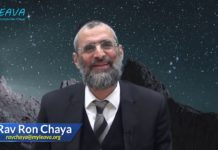 Vous aurez la réponse à toutes vos questions … un peu de patience !