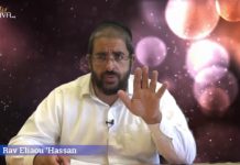 L’ânesse qui a attendu 2500 ans pour parler