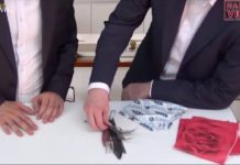 Neuvième cours d’une série de neuf cours sur l’interdit de Chabbat : Borère (Trier)