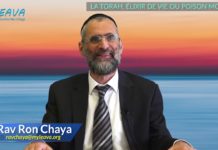 La Torah élixir de vie ou poison mortel ?
