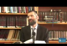 Arvit et ‘Hok lé-Israël