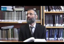 Halakha : Doutes et arrêts dans le Chéma