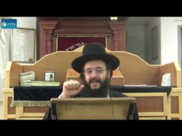 Chémita (1/4) – Introduction