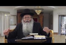 La prouesse de Calev : Paracha Chéla’h Lekha