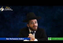 D.ieu, Israël et la Torah font un !