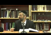 Le top du genre humain