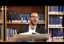 Paracha VAYELEKH : L’harmonie d’un peuple