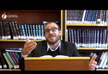 Paracha TOLDOT : Lier les mondes !