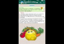 Toratchat : Béhar : Parnassa