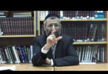 Tout est écrit, le destin existe-t-il selon la Torah ?