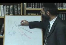 Le polygone de Willis