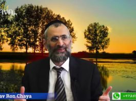 Humilité : L’exemple des sages d’Israël