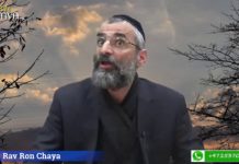 Cette Mitsva spéciale qui donne la vie et sauve de la mort